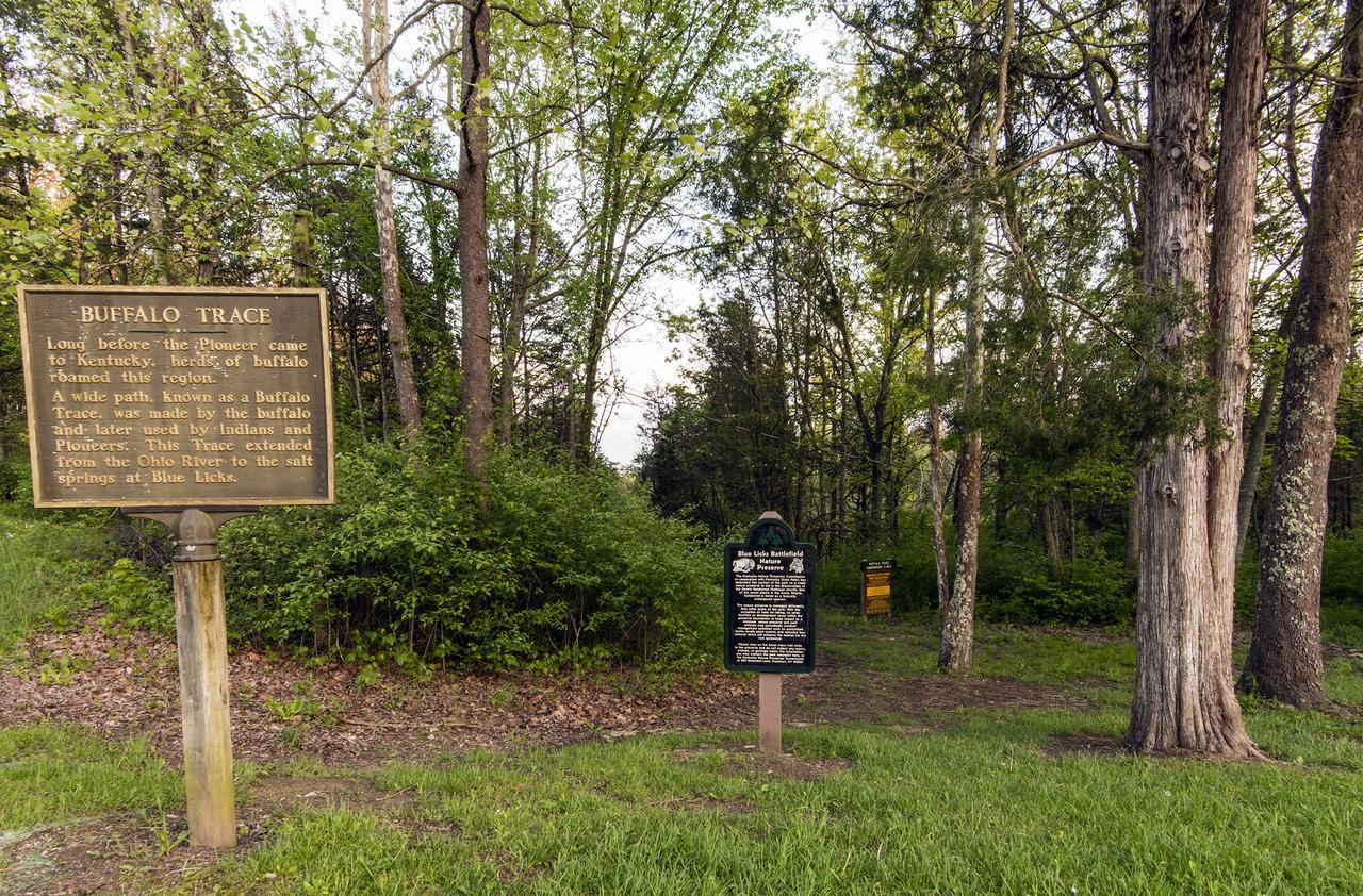 Blue Licks Battlefield State Park Otel Carlisle Dış mekan fotoğraf